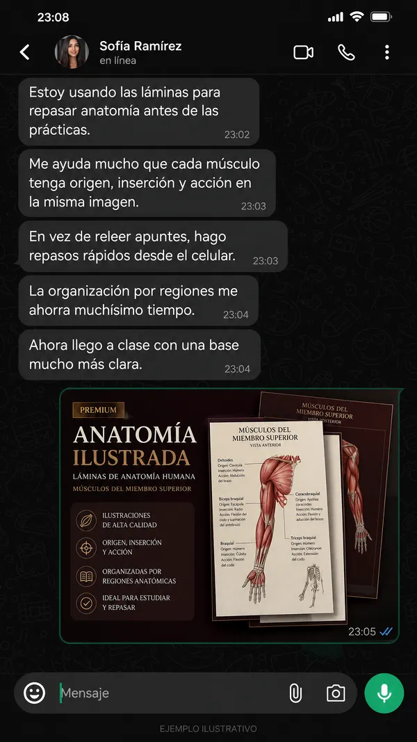 Testimonio 5